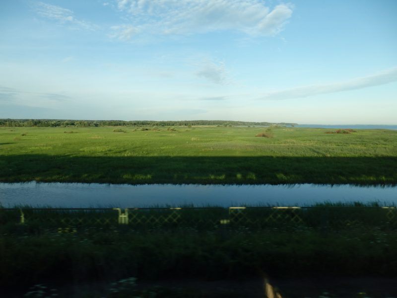 Fields along the railroad between St Petersburg and Moscow.
