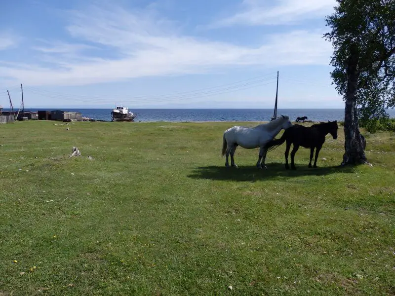 Bolshie Koty, Lake Baikal. SIberia, Russia.