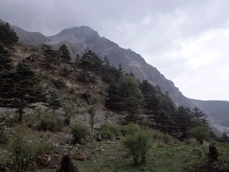 Hiking around Yu Long Xue Shan (Jade Dragon Snow Mountain). Lijiang, Yunnan.