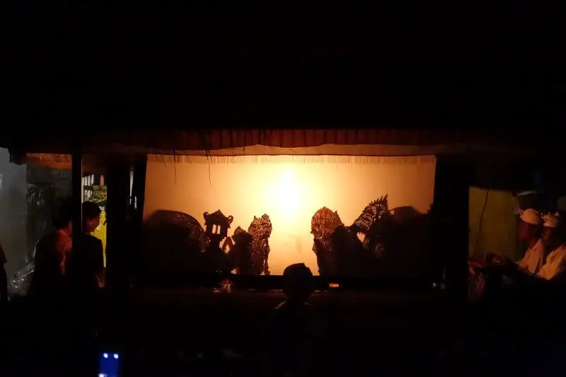 Wayang Kulit performance, north Bali.