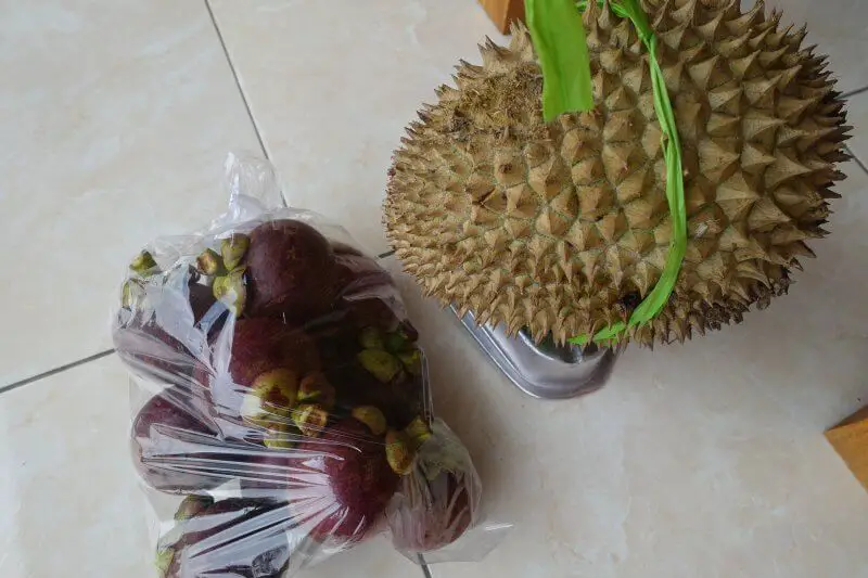 Mangosteen and durian in north Bali.