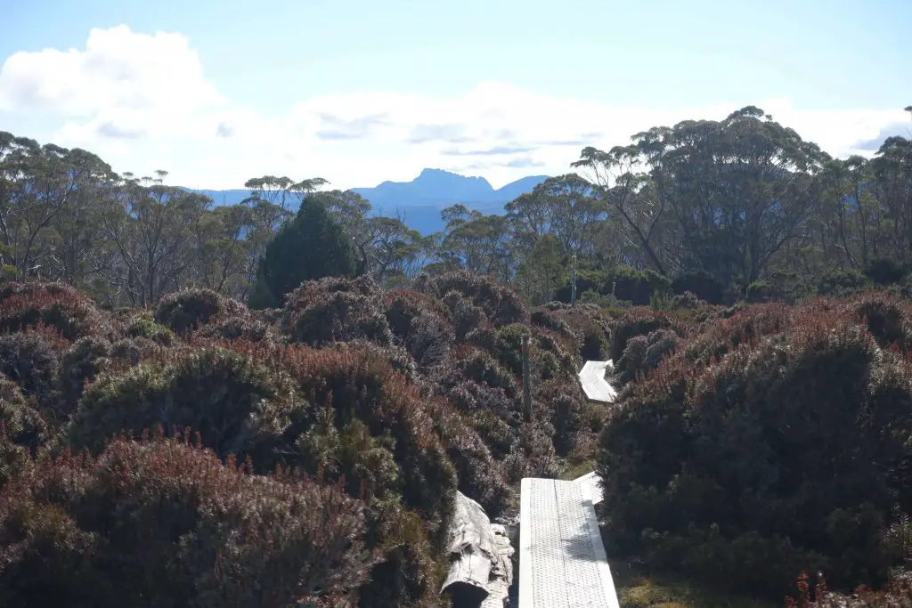 Cradle Mountain, from Pelion Gap. Overland Track, Tasmania.