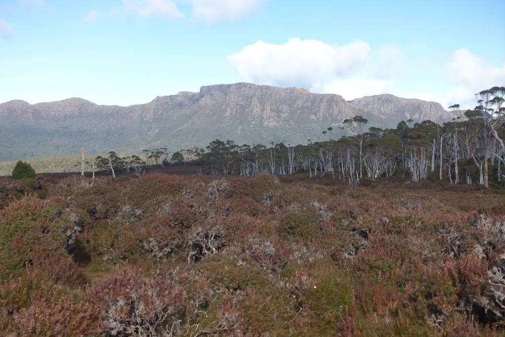 Mt Ossa range from Pelion Gap. Overland Track, Tasmania.