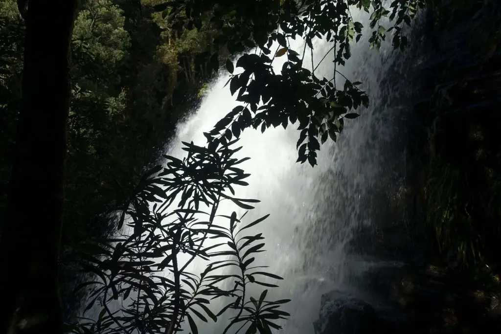 Fergusson Falls, Tasmania.