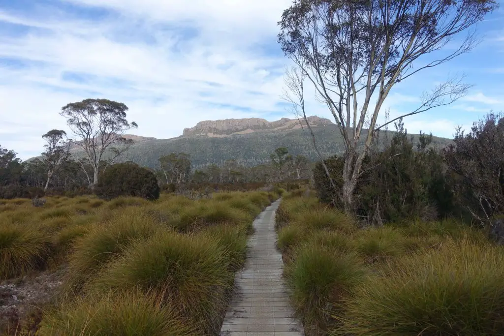 View of Mt Olympus from the Overland Track, Tasmania.