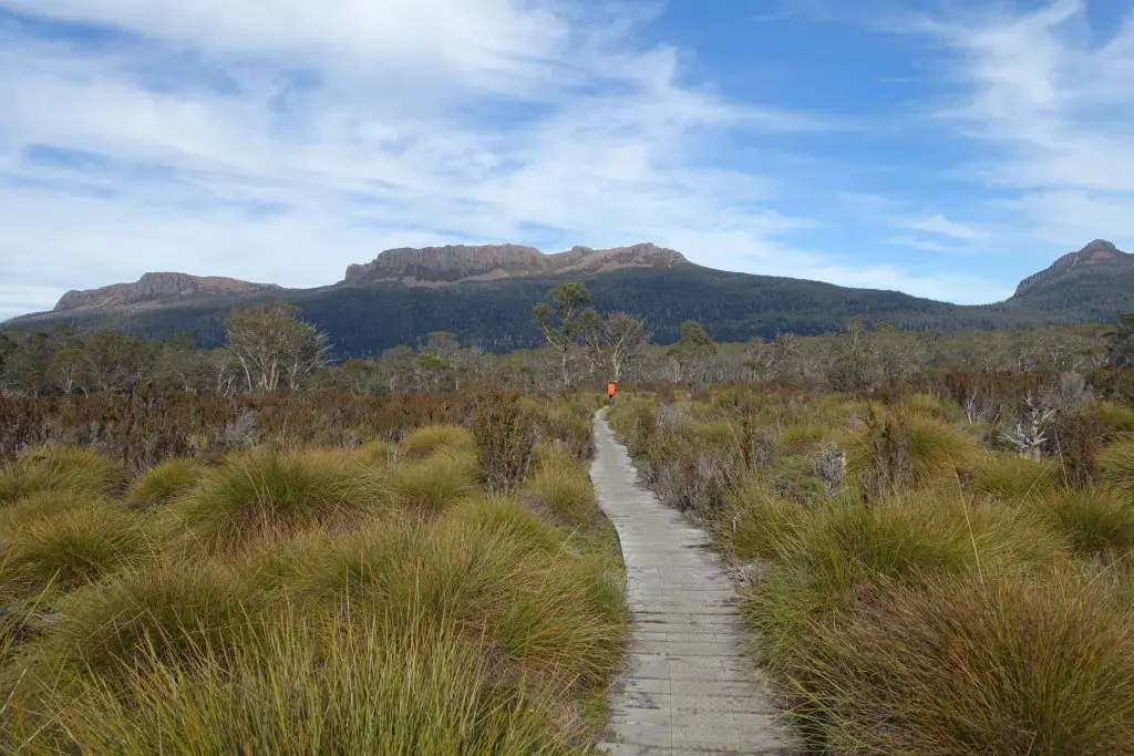 View of Mt Olympus from the Overland Track, Tasmania.