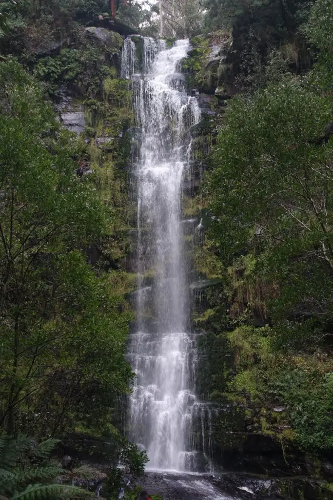 Erskine Falls, Lorne. Victoria, Australia.