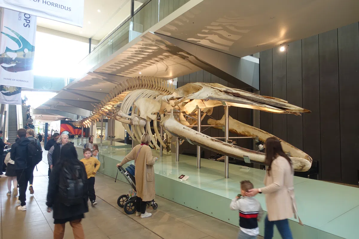 Science and Life Gallery, Melbourne Museum.