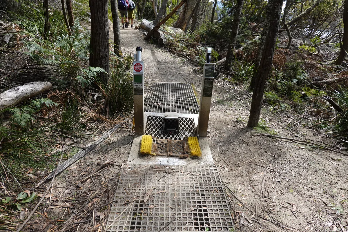 Boot cleaning station, Three Capes Track.