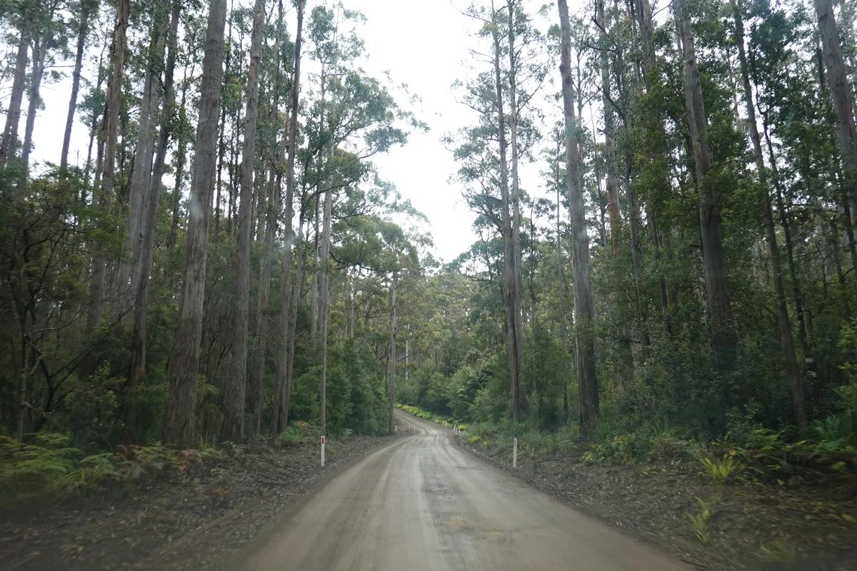Fortescue Bay Road.