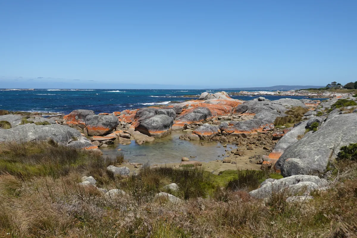 The Gardens, Bay of Fires.