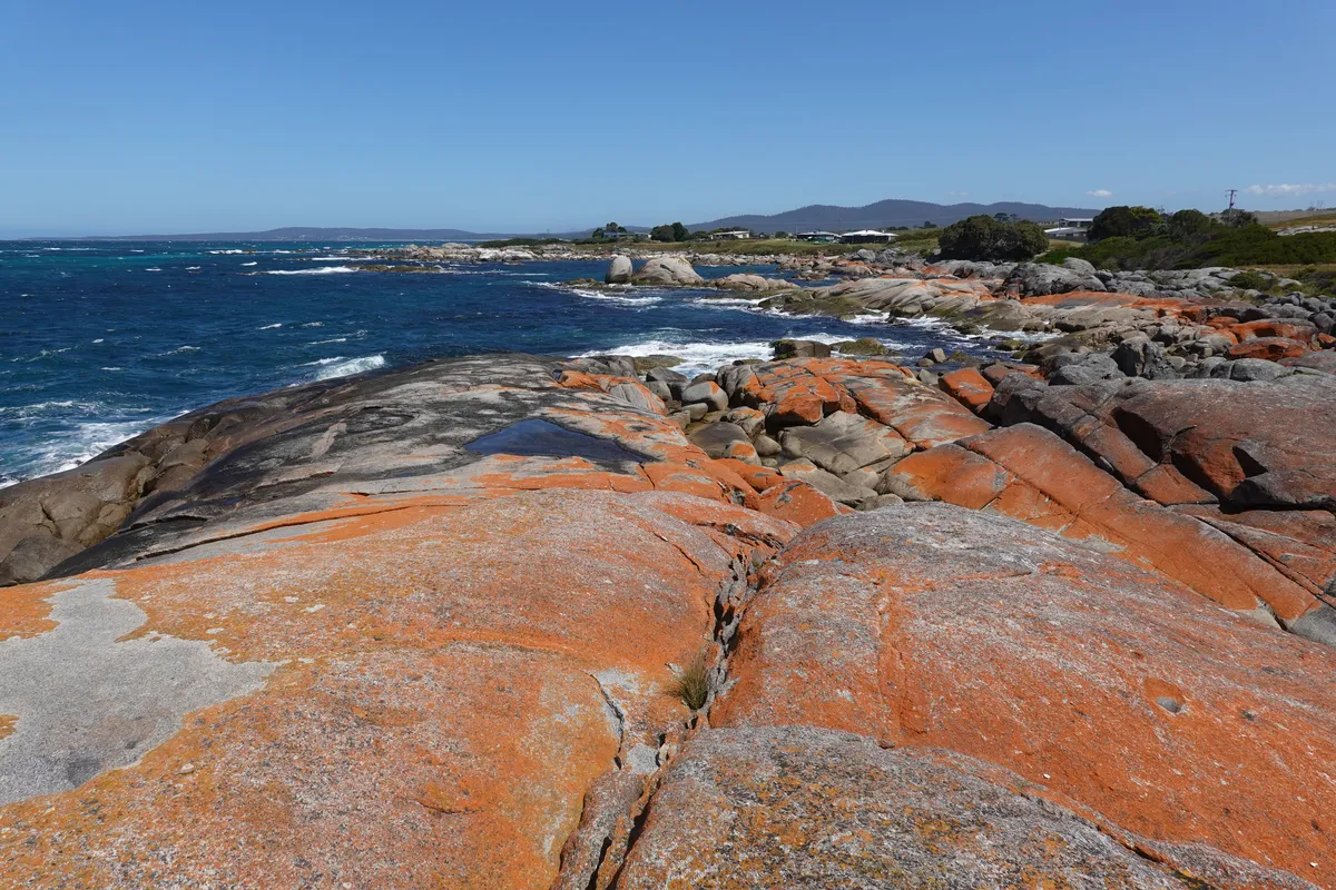 The Gardens, Bay of Fires.