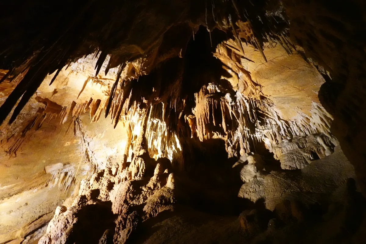 King Solomons Cave, Mole Creek Karst National Park