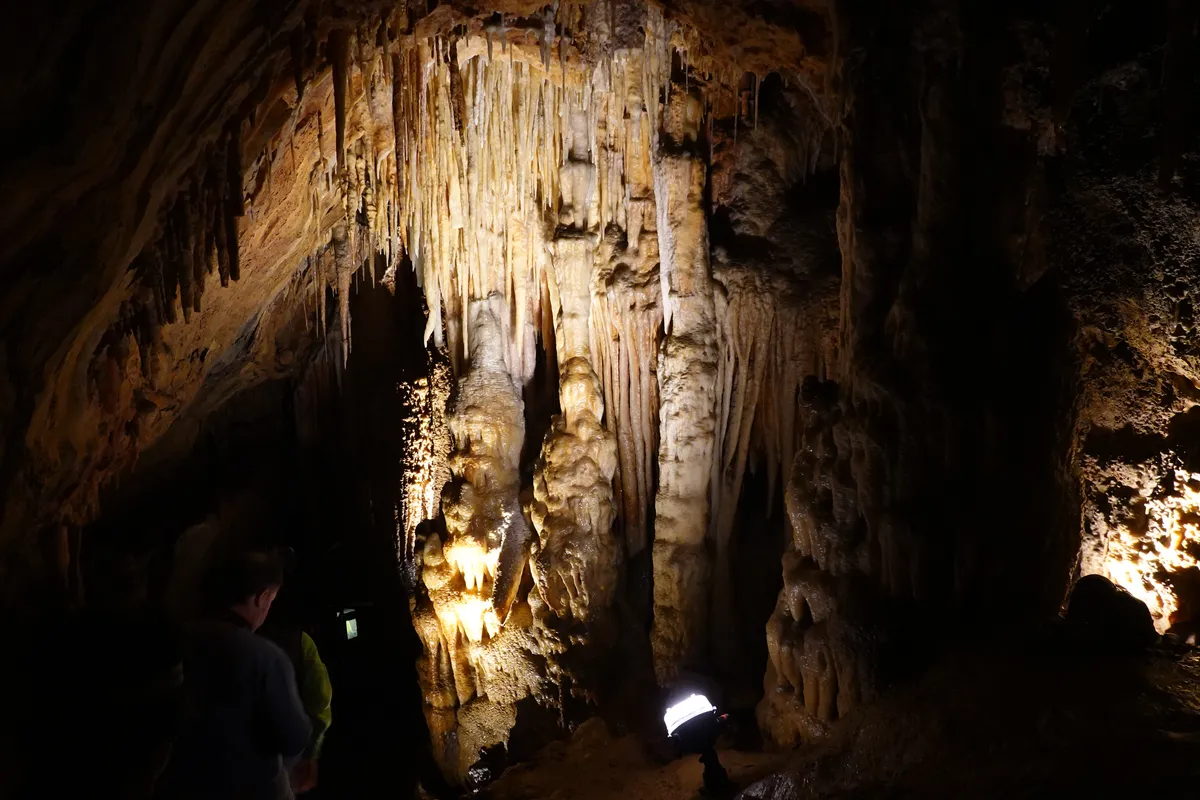 King Solomons Cave, Mole Creek Karst National Park