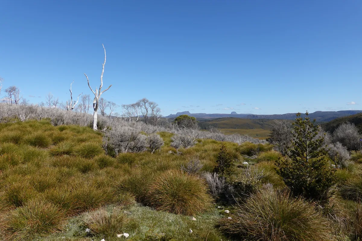 View of Cradle Mountain from Black Bluff Range, Tasmania.