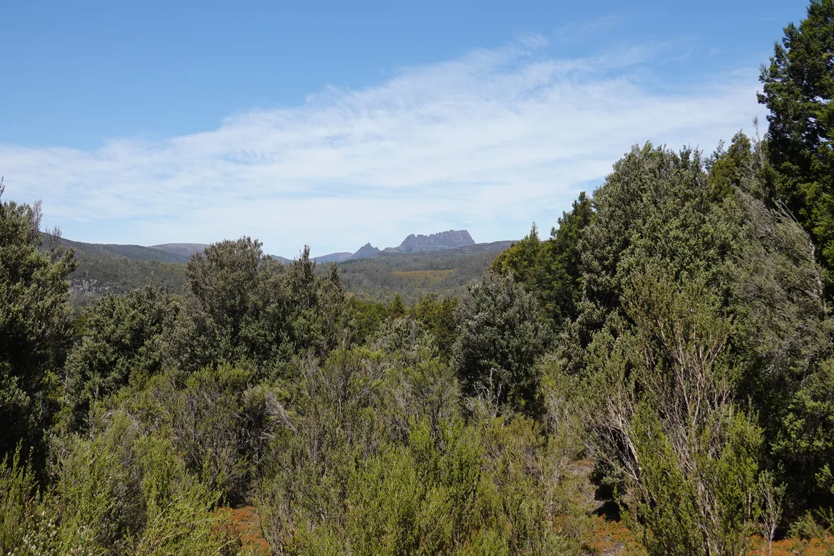 Cradle Mountain from King Billy Walk