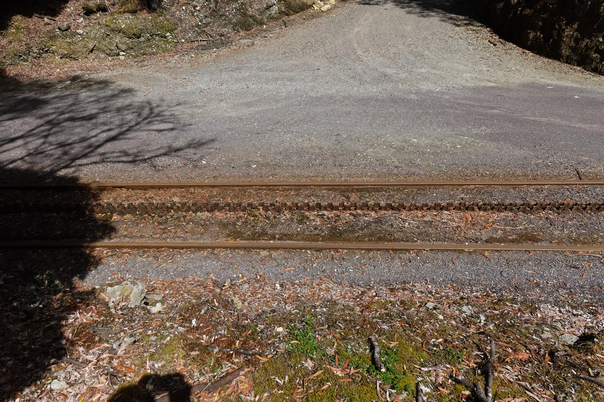 West Coast Wilderness Railway, Rinadeena Station.