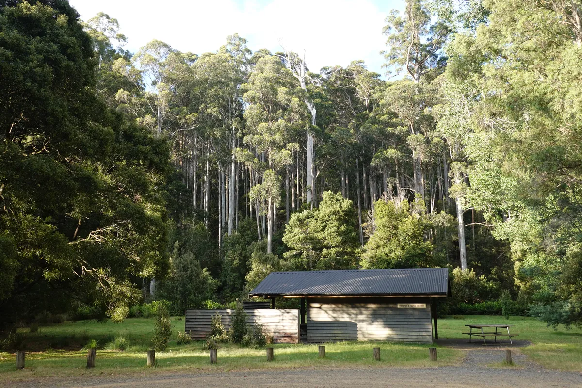 Day use area, Mt Field National Park