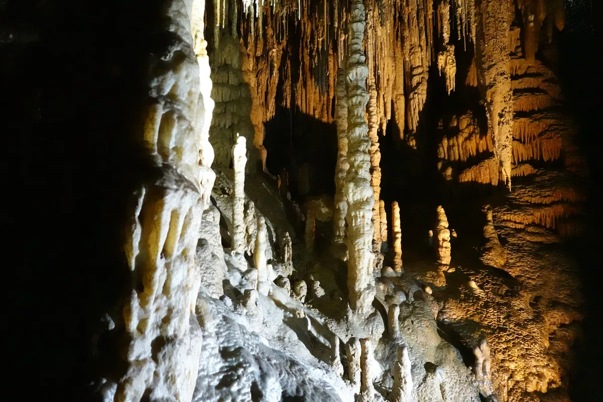 Newdegate Cave, Hastings Caves State Reserve, Tasmania.