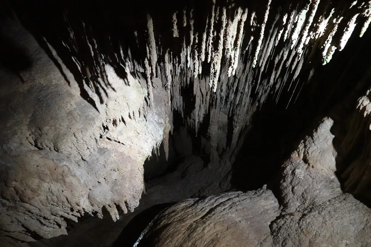 Newdegate Cave, Hastings Caves State Reserve, Tasmania.