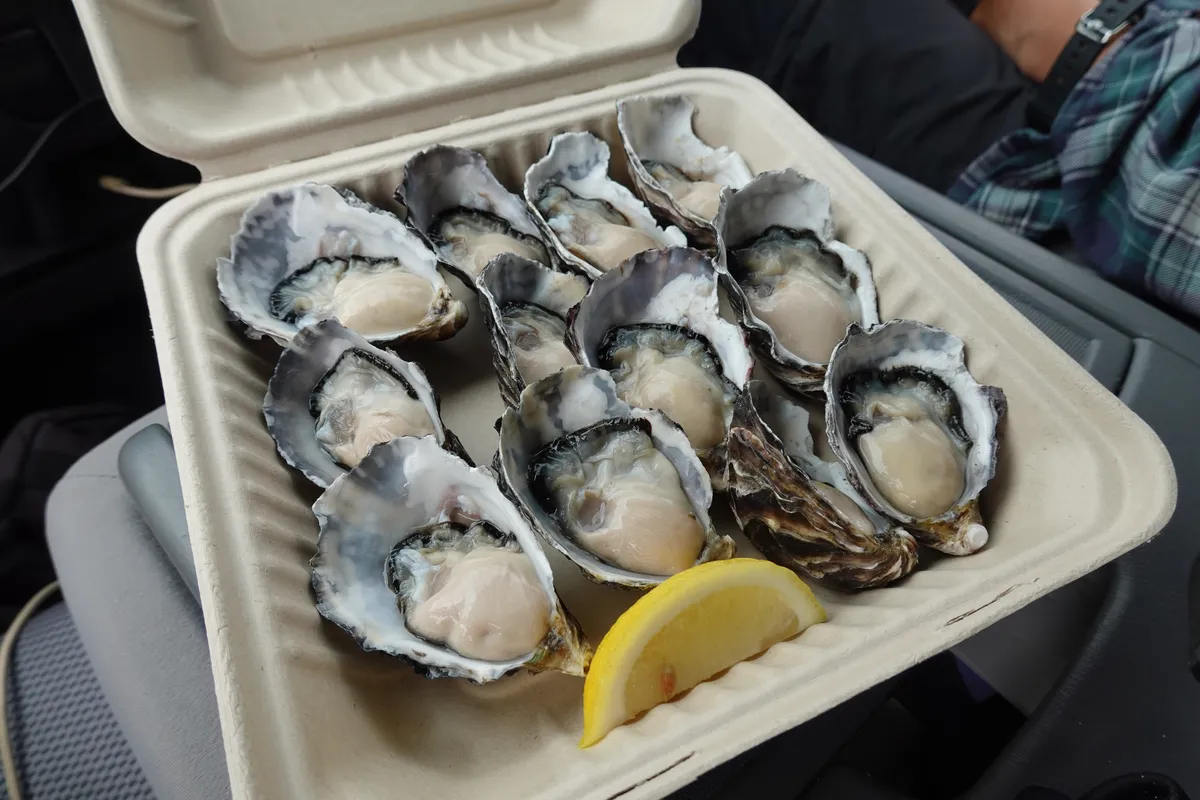 Freshly shucked oysters from Get Shucked