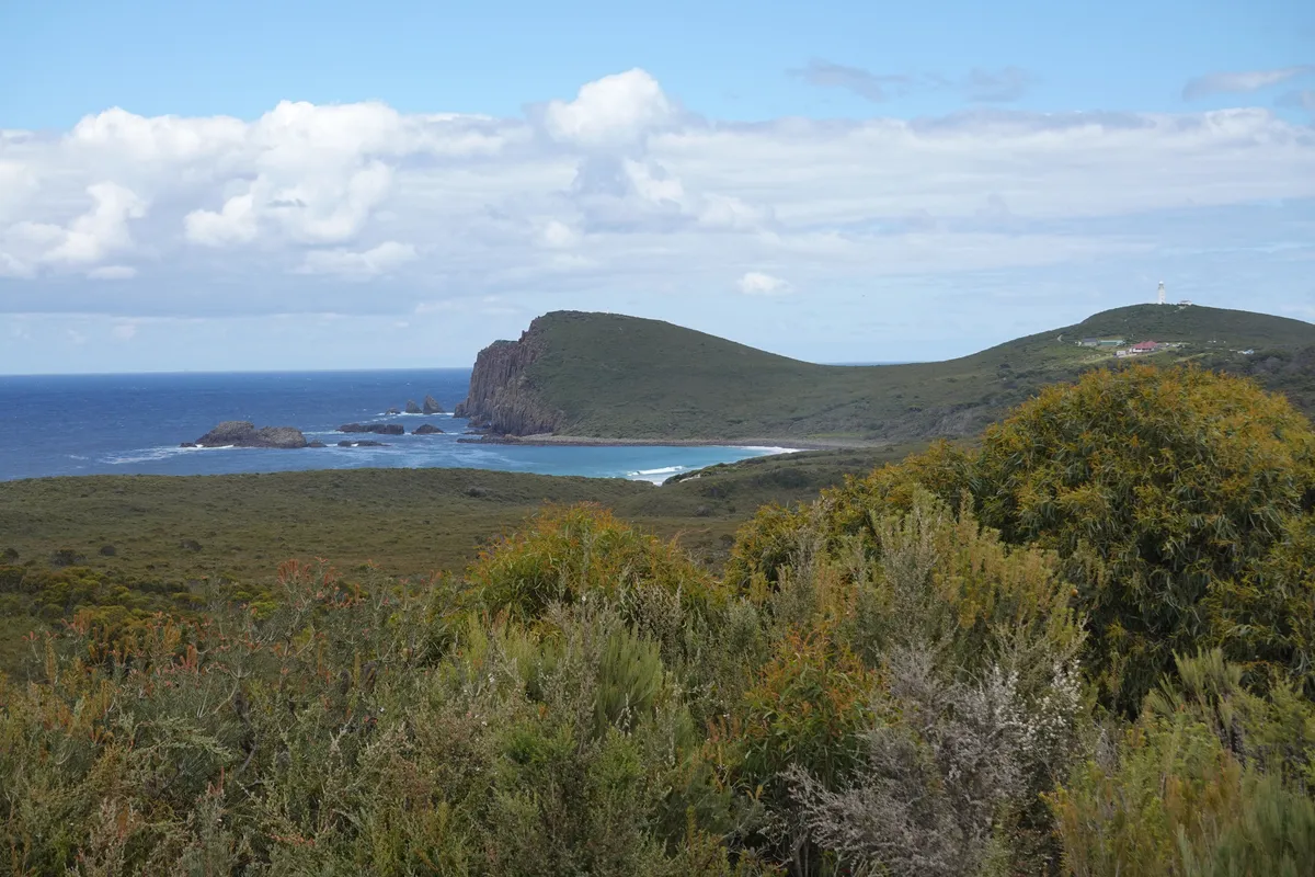 Cape Bruny Lookout