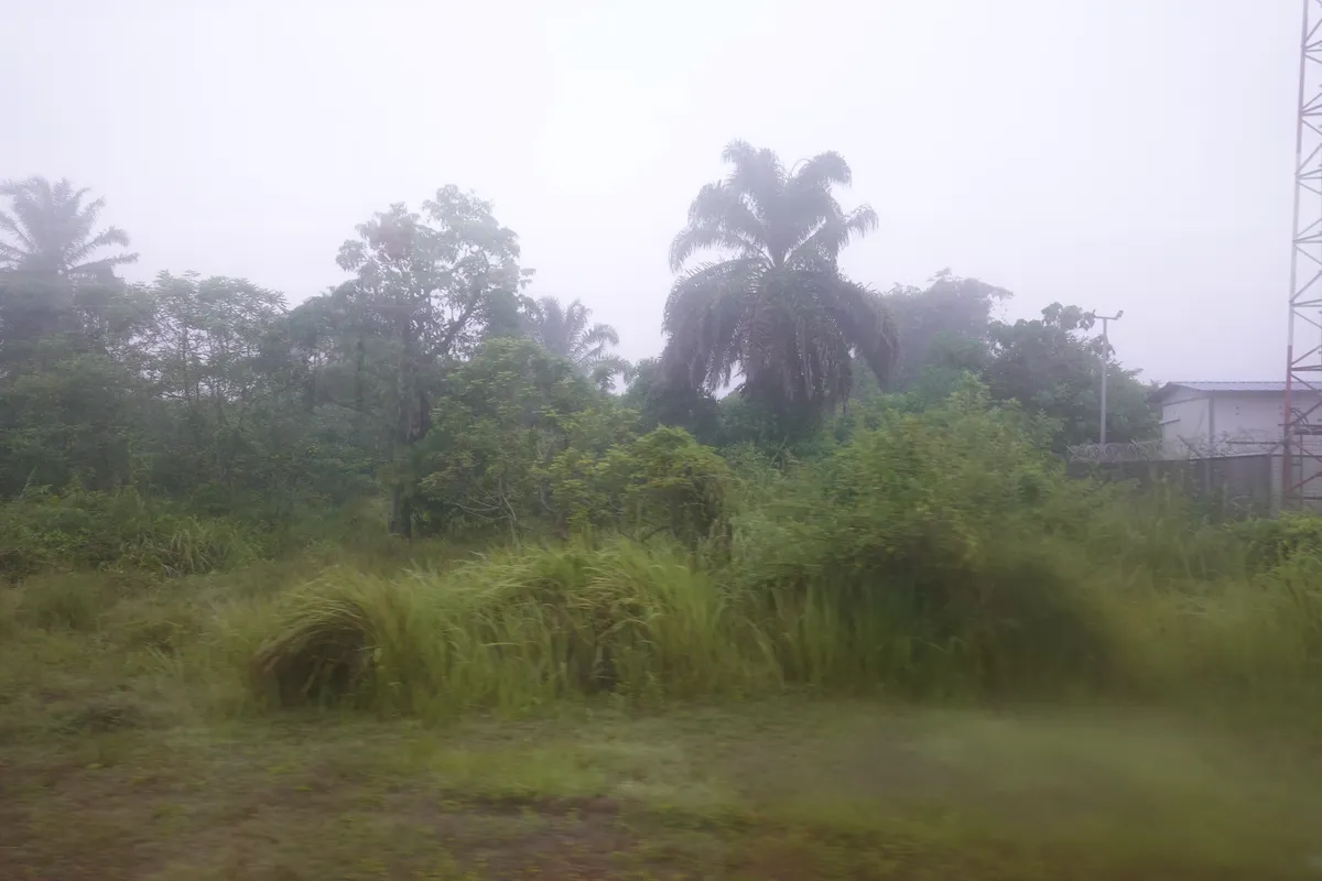 Views along the Jungle Railway in Malaysia