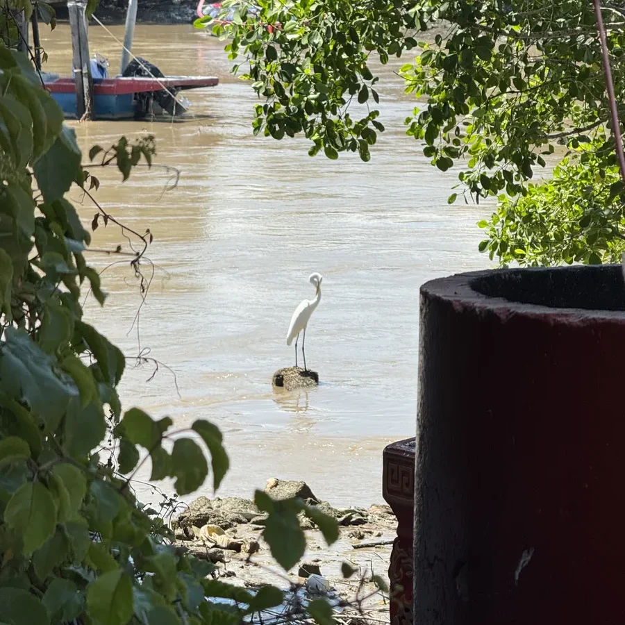 More Pontian wildlife, by the river